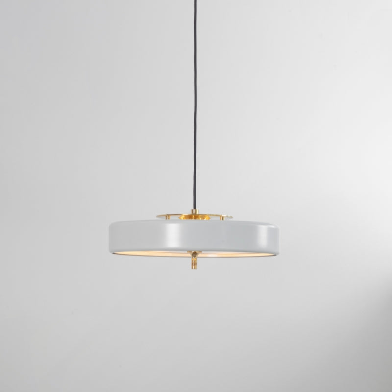 Bert Frank Revolve Pendant Light