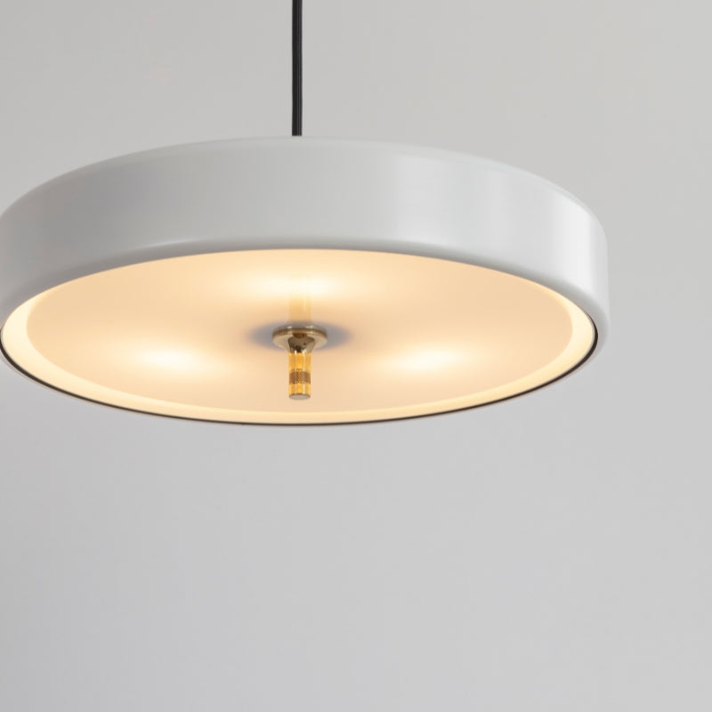 Bert Frank Revolve Pendant Light