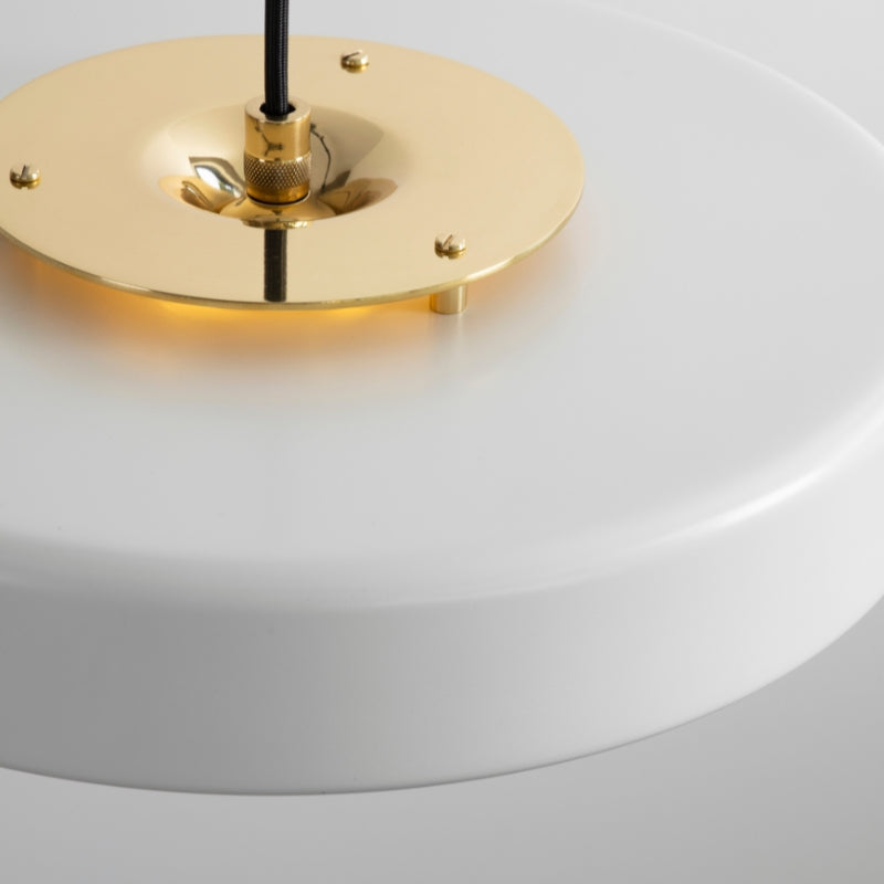 Bert Frank Revolve Pendant Light