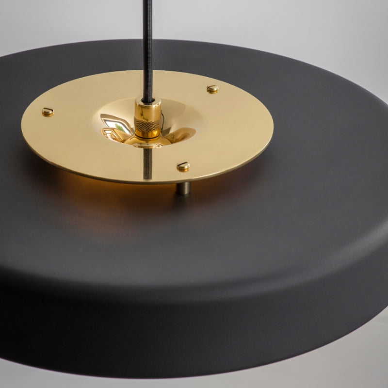 Bert Frank Revolve Pendant Light