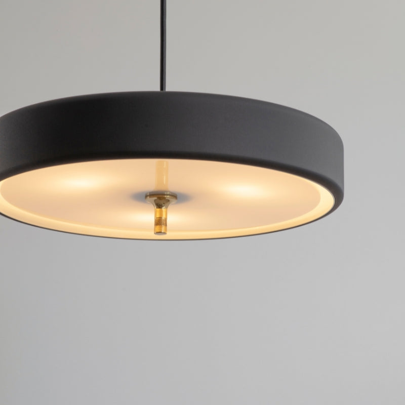 Bert Frank Revolve Pendant Light