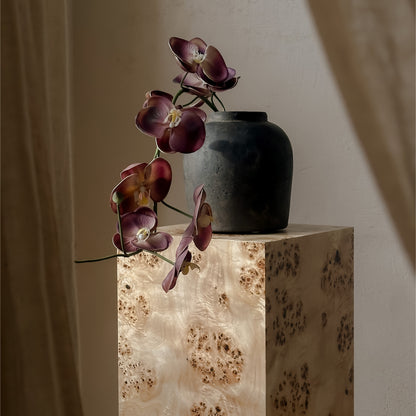 Popular Burlwood 55 cm Plinth Side Table
